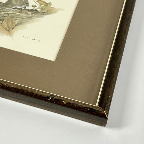 MG Loates Vintage 1970s Framed Print Mouse Mushrooms Woodland Animal 10.75x9” - Picture 5 of 9